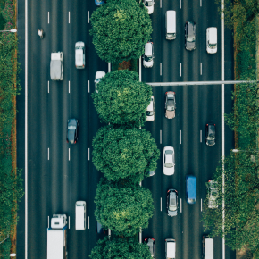 Cars driving on two sides of a median with trees in the middle