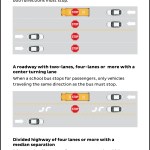 Infographic of bus stop arm laws in Georgia.