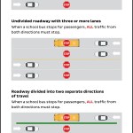 Infographic of bus stop arm laws in New York.