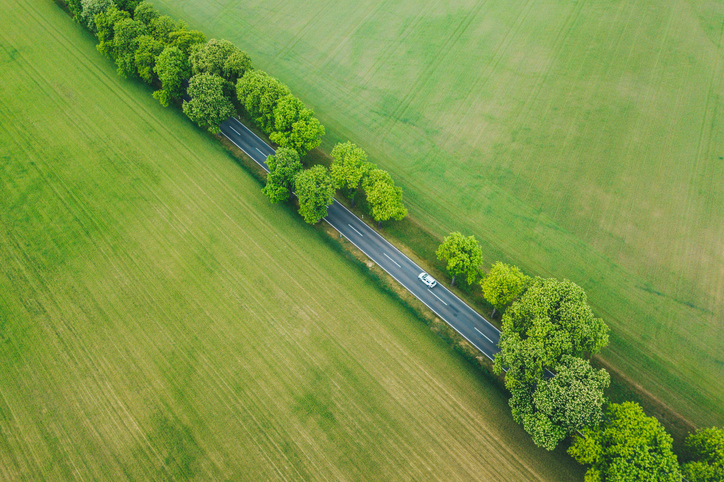 Aerial view of car driving on a road under trees in a green landscape