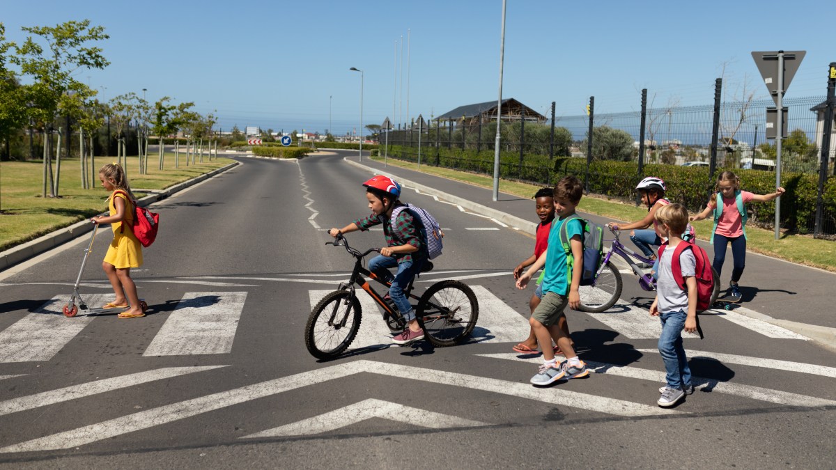 Group of schoolchildren on a pedestrian crossing