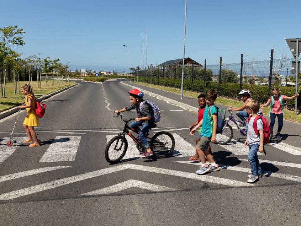 Group of schoolchildren on a pedestrian crossing