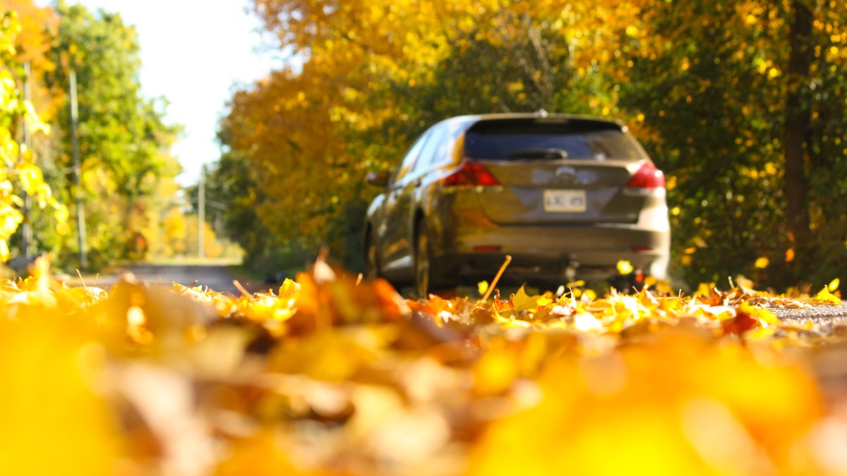 Car driving down the road on an Autumn day