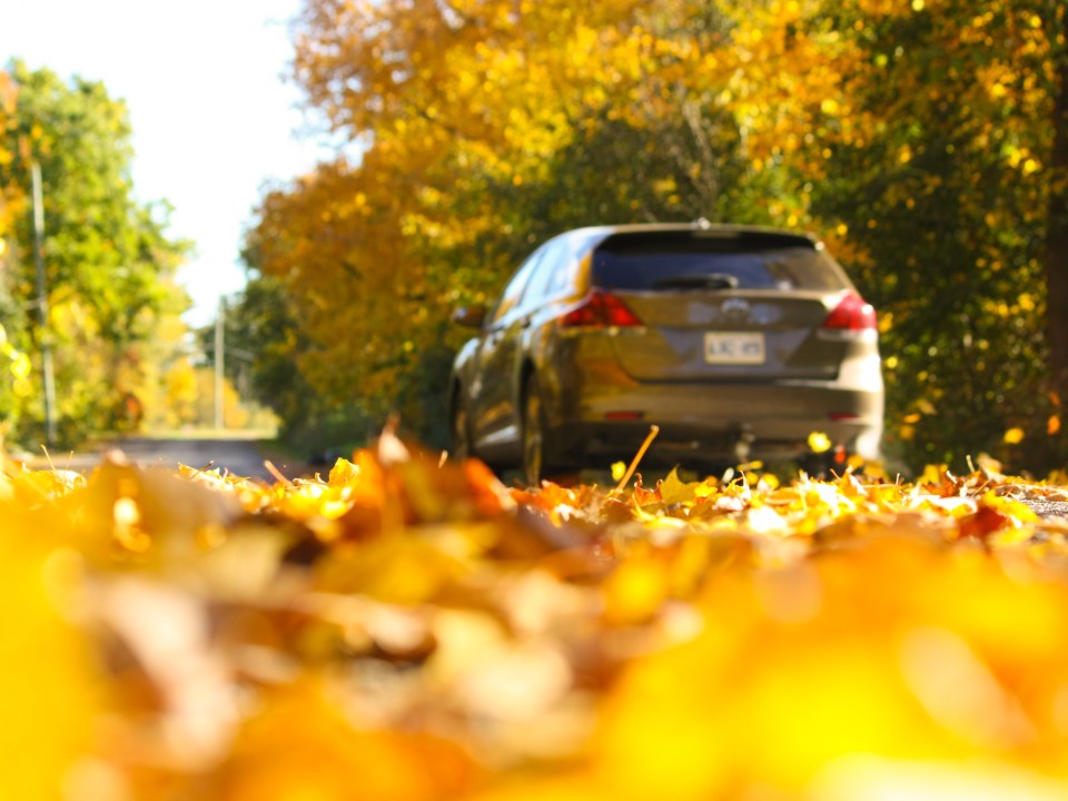 Car driving down the road on an Autumn day